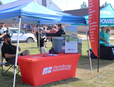 Farm Bureau Insurance and Idaho Powers vendors in the Placerville Plaza
