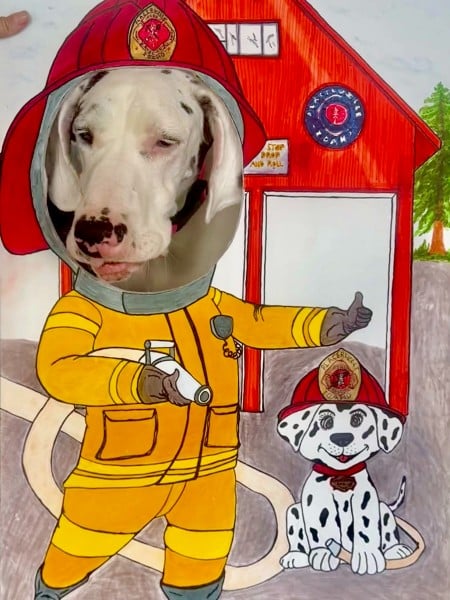 dog head poking through a panel in front of Placerville Fire Station